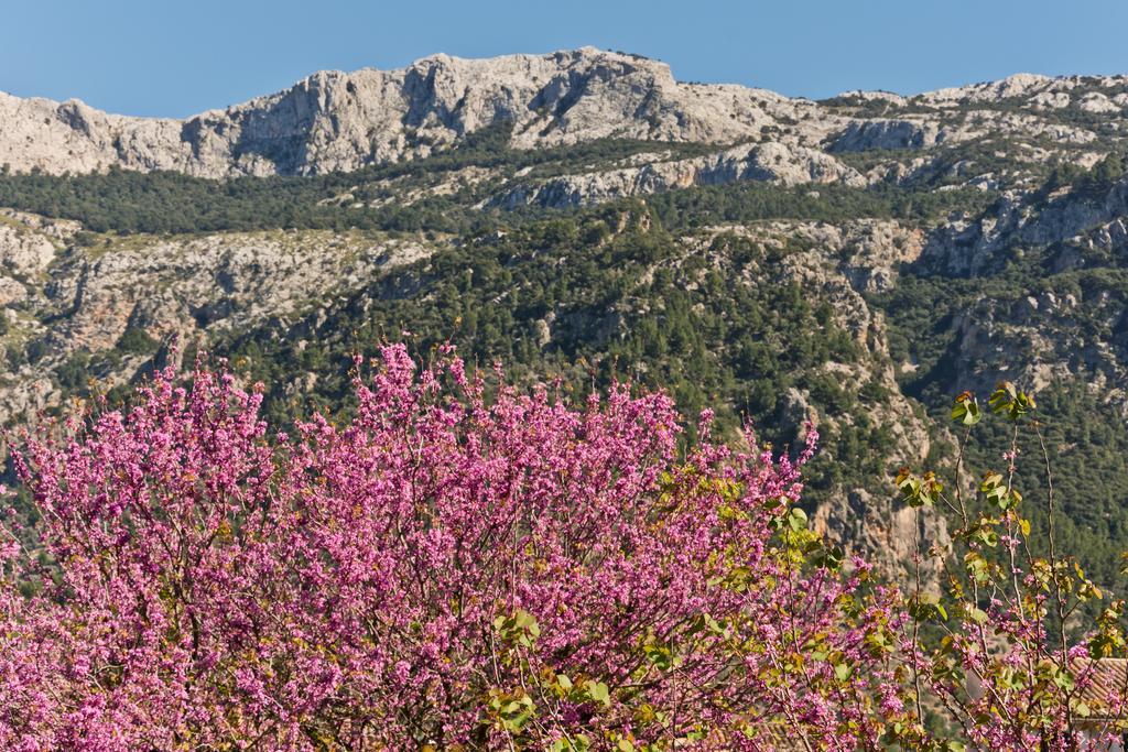 Hotel Can Roses Sóller Eksteriør bilde
