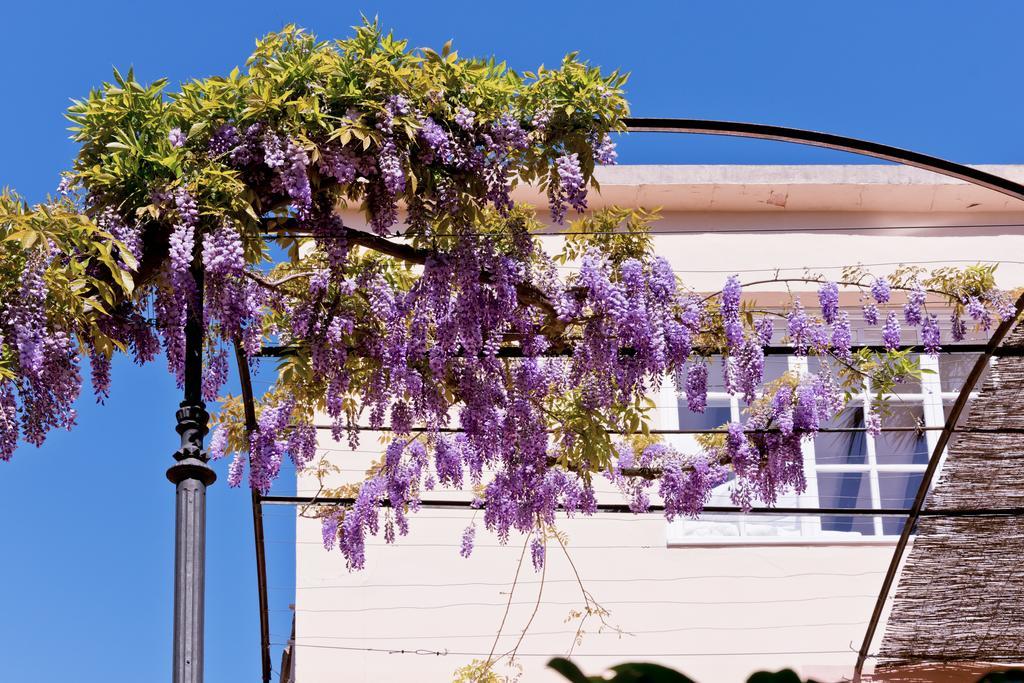 Hotel Can Roses Sóller Eksteriør bilde